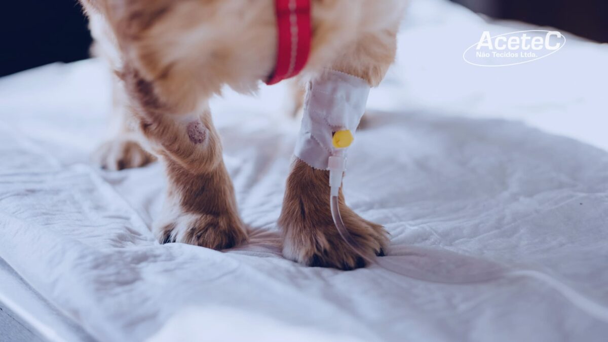 Tapetes Higiênicos Para Cães
