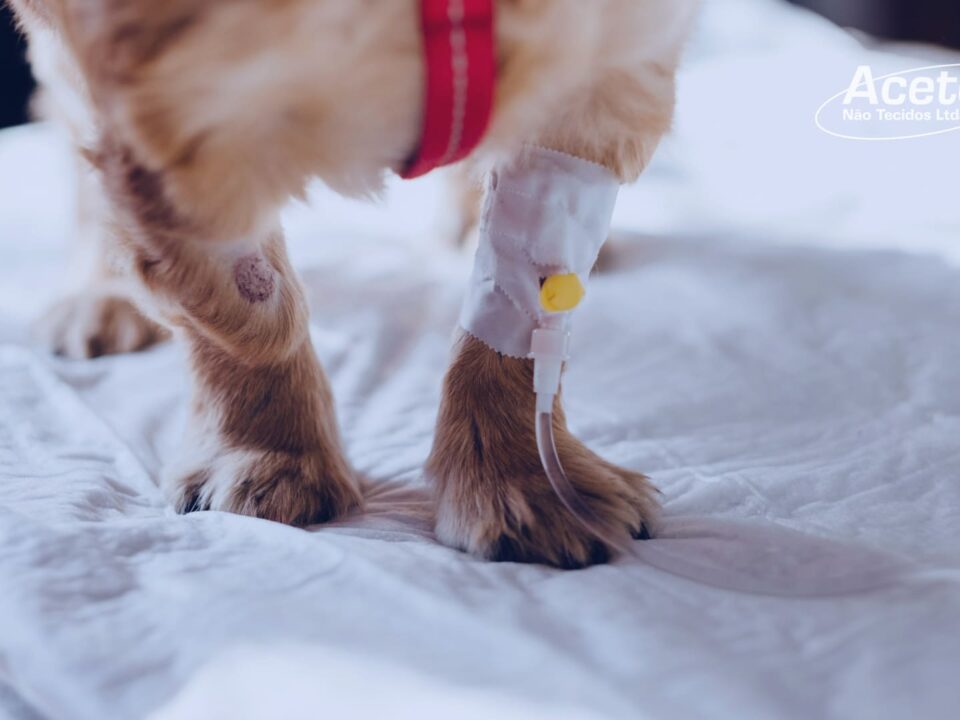 Tapetes Higiênicos Para Cães