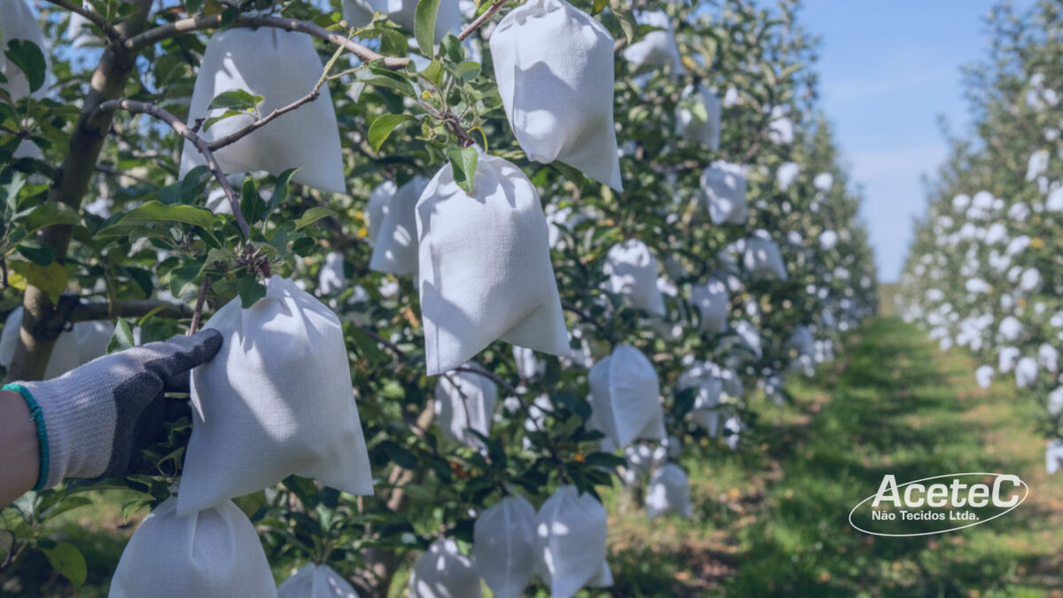 proteção das frutas