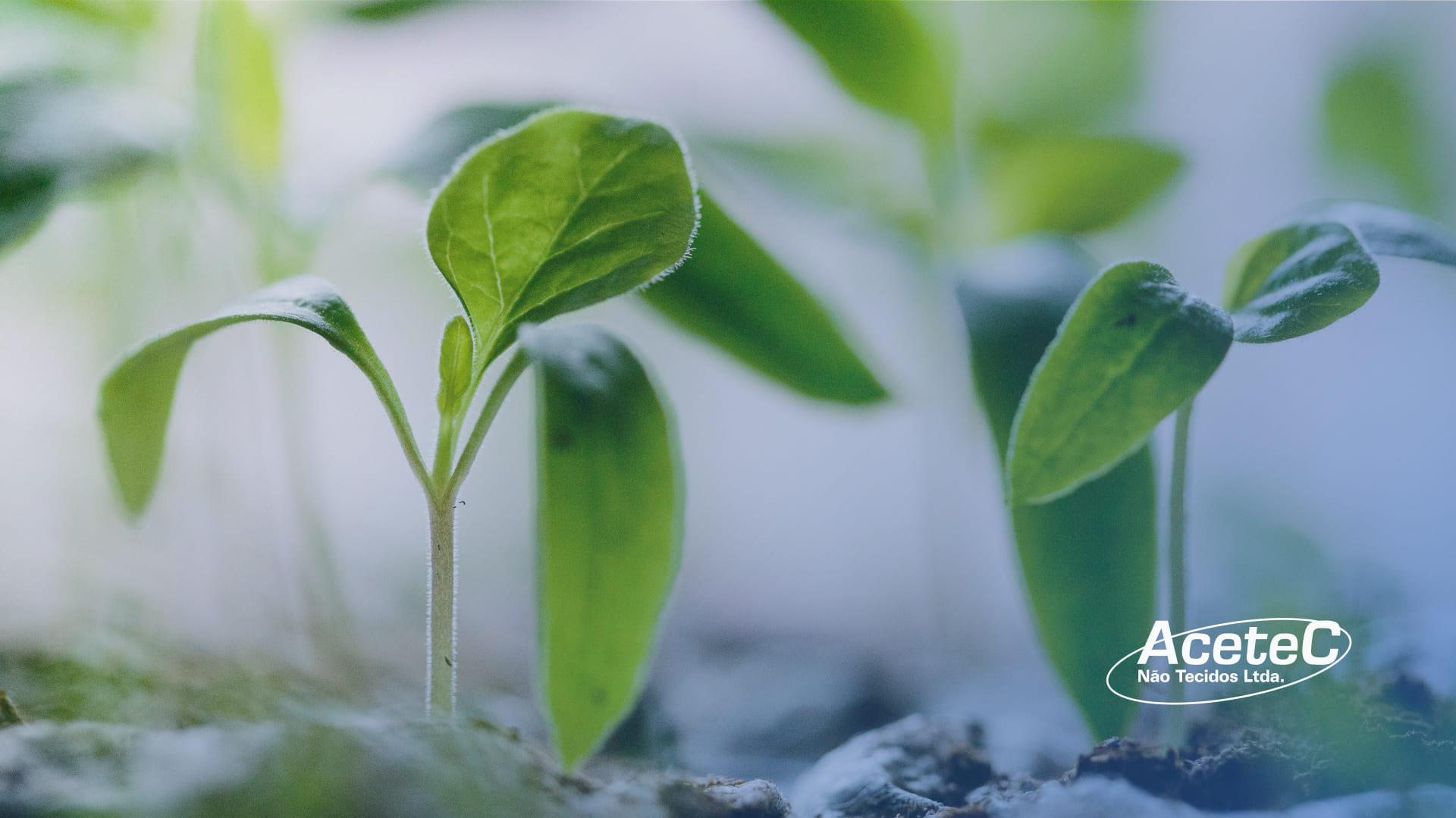 Benefícios do TNT para o Setor de Agricultura