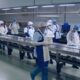 TNT na Indústria Alimentícia