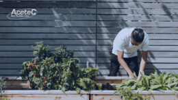 Usando TNT na Jardinagem: uma Alternativa Prática e Econômica