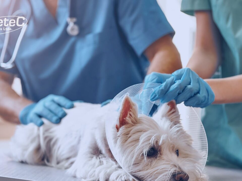 TNT em Clínicas Veterinárias