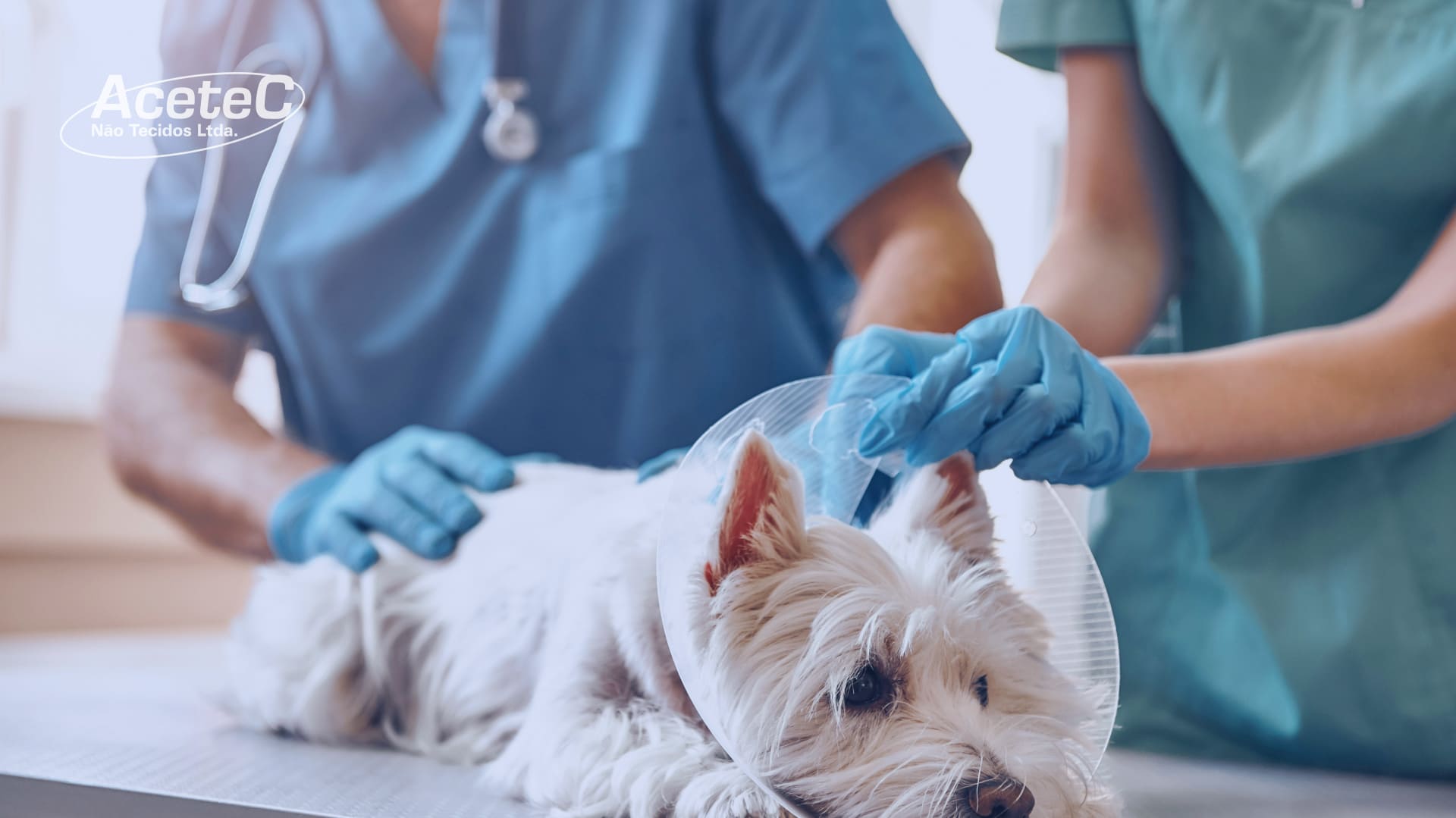 TNT em Clínicas Veterinárias